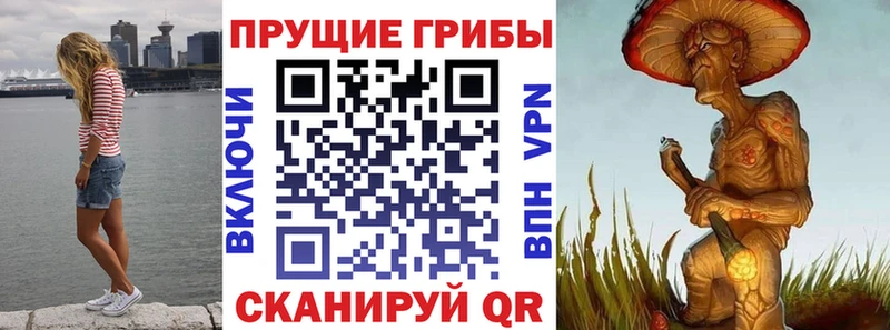 как найти закладки  omg ссылка  Галлюциногенные грибы прущие грибы  Богородск 